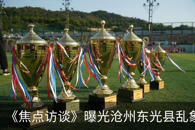 《焦点访谈》曝光沧州东光县乱象：村里埋下危化品炸弹，税收不能凌驾生命之上